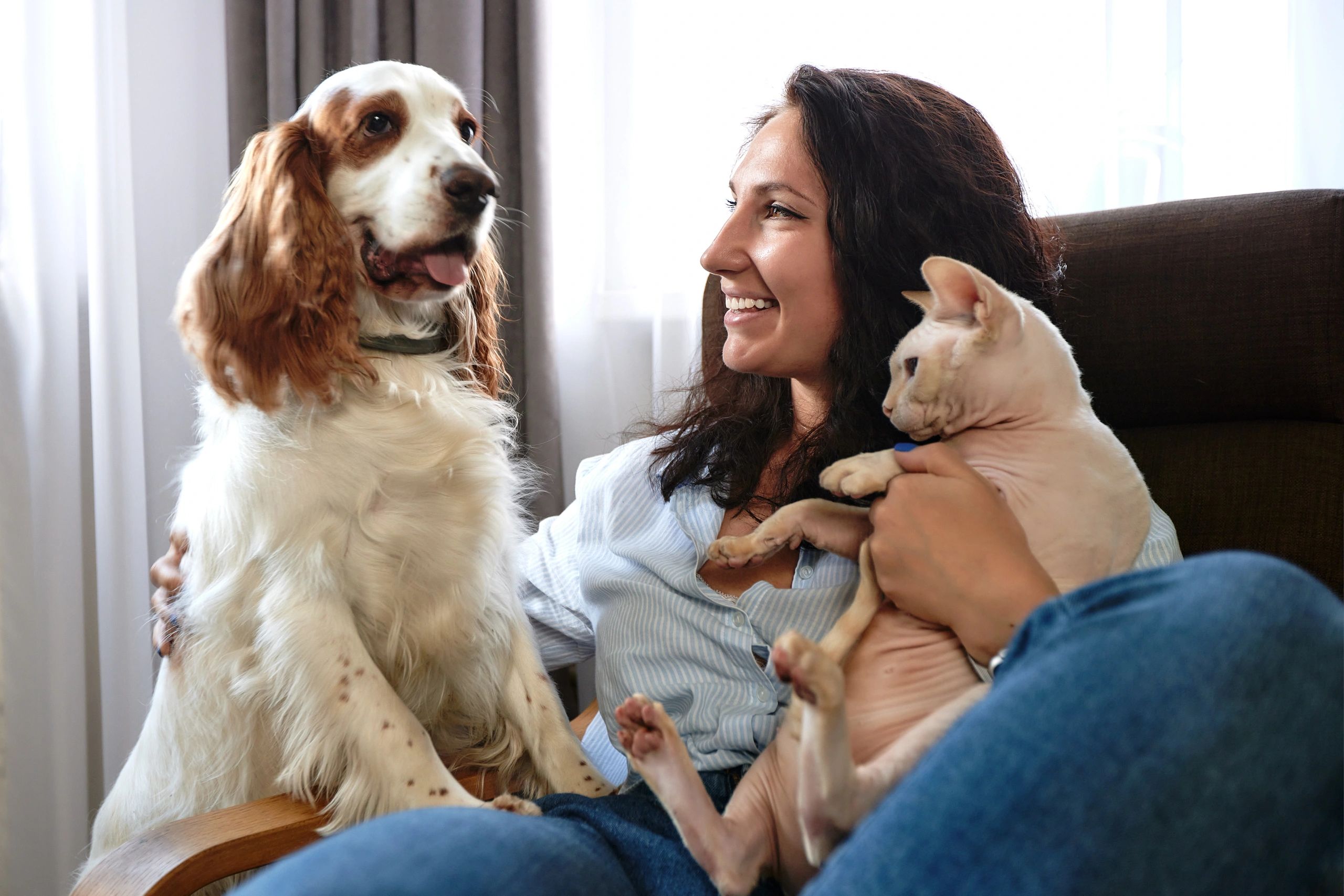 Woman on sofa with cat and dog