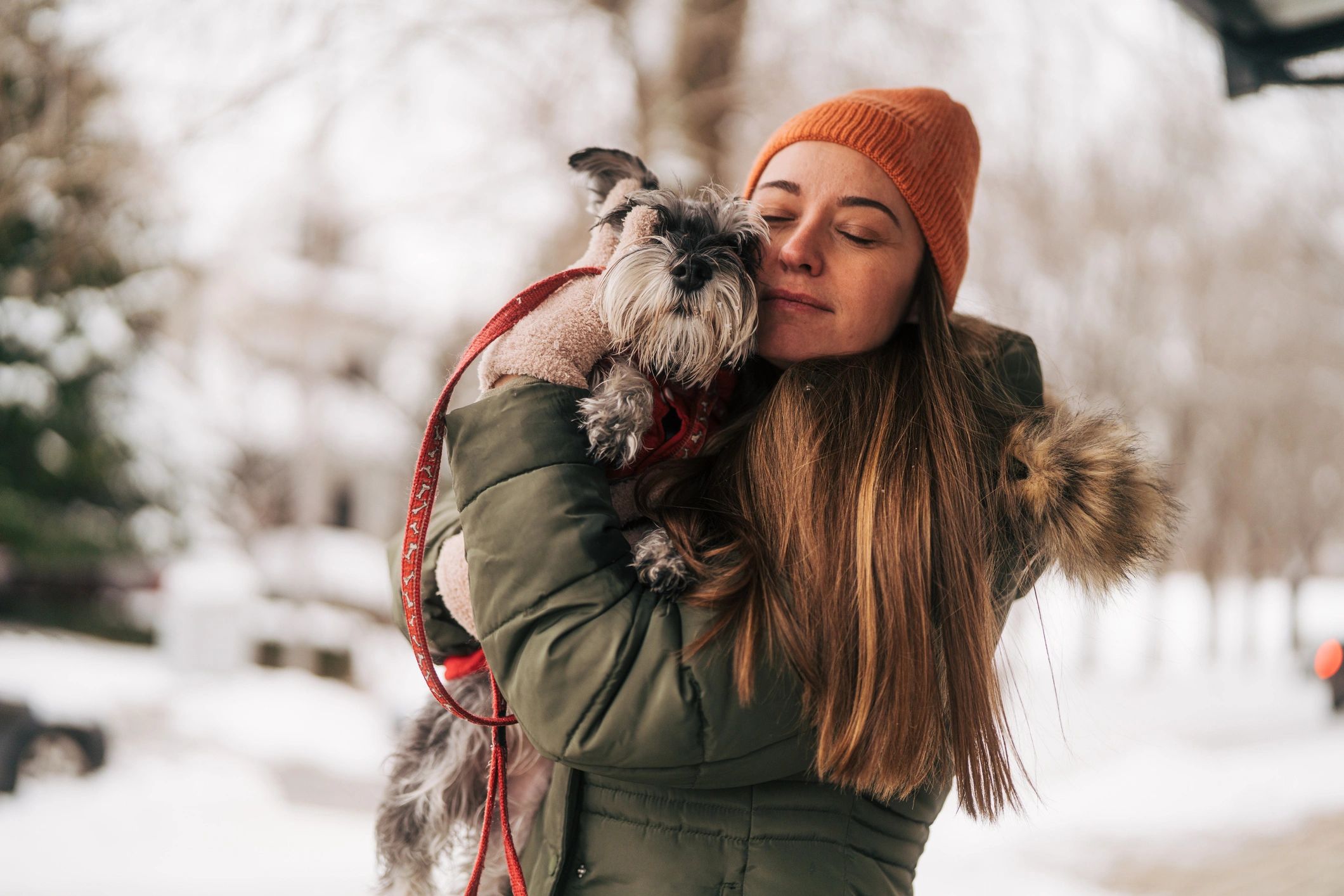 Outdoor pet portrait of a small dog with owner